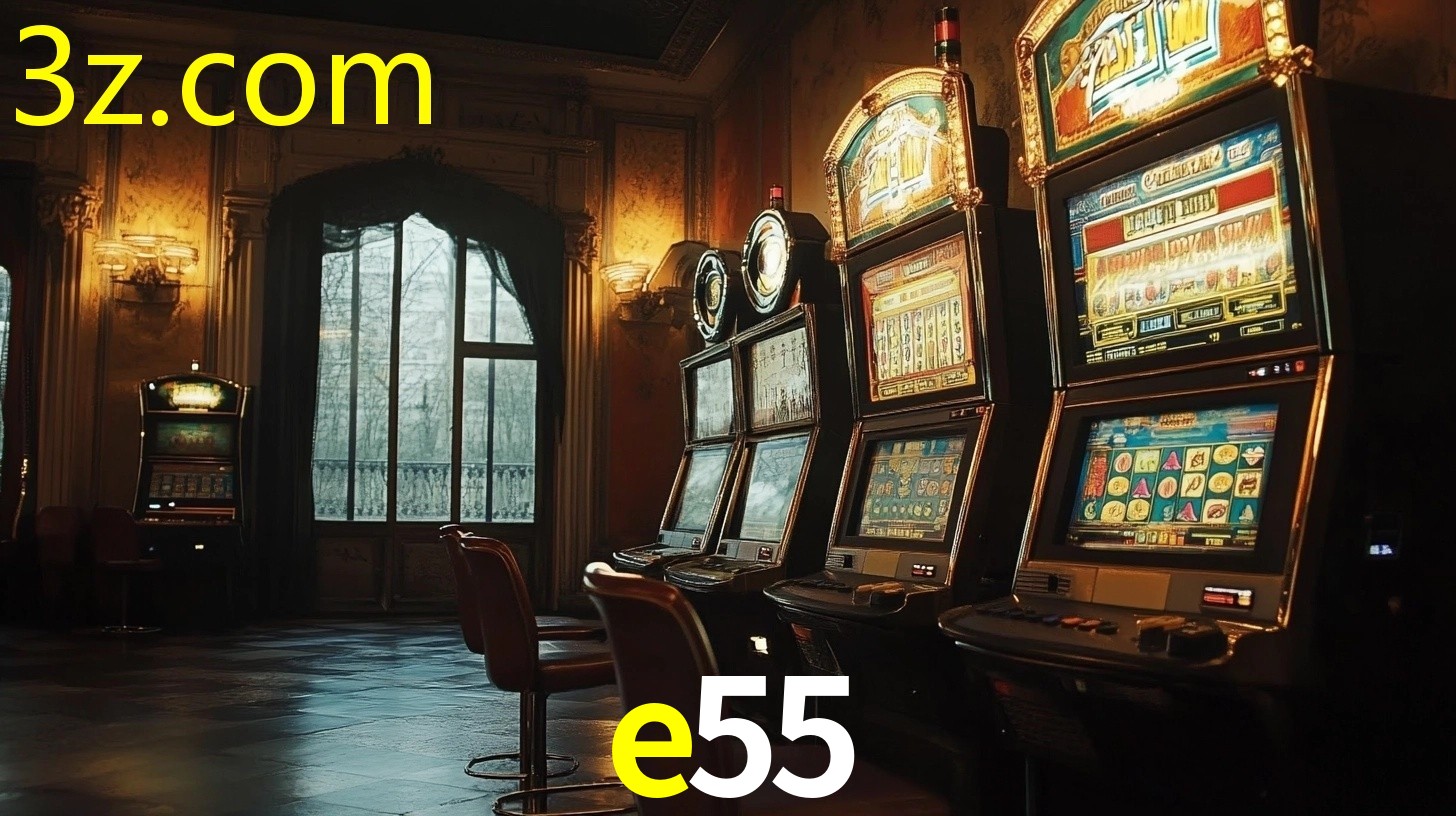 E55